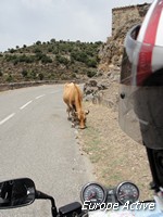 moto-sardaigne