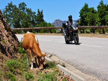 Moto en Corse